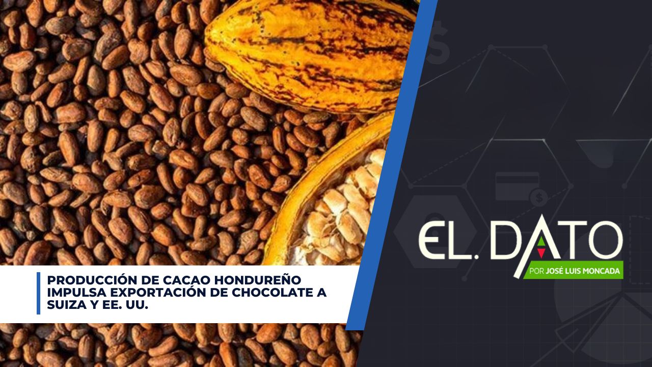 Producción de cacao hondureño impulsa exportación de chocolate a Suiza y EE. UU. Imagen principal de Producción de cacao hondureño impulsa exportación de chocolate a Suiza y EE. UU.