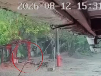 Imagen de Vídeo sensible: Rayo impacta en dos personas que departían en La Ceiba: una murió