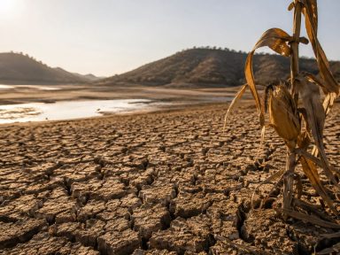 Imagen de Editorial HRN: Al filo por vulnerabilidad ante catástrofes naturales