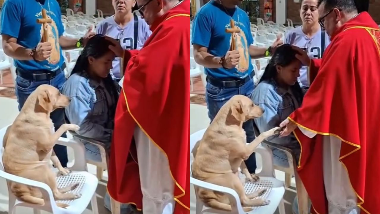 Imagen de La tierna escena de Simón, un perrito “orando” junto a un sacerdote se vuelve viral