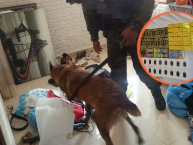 Imagen de ¿Vapes con marihuana?: esto localizó un canino durante inspección en SPS