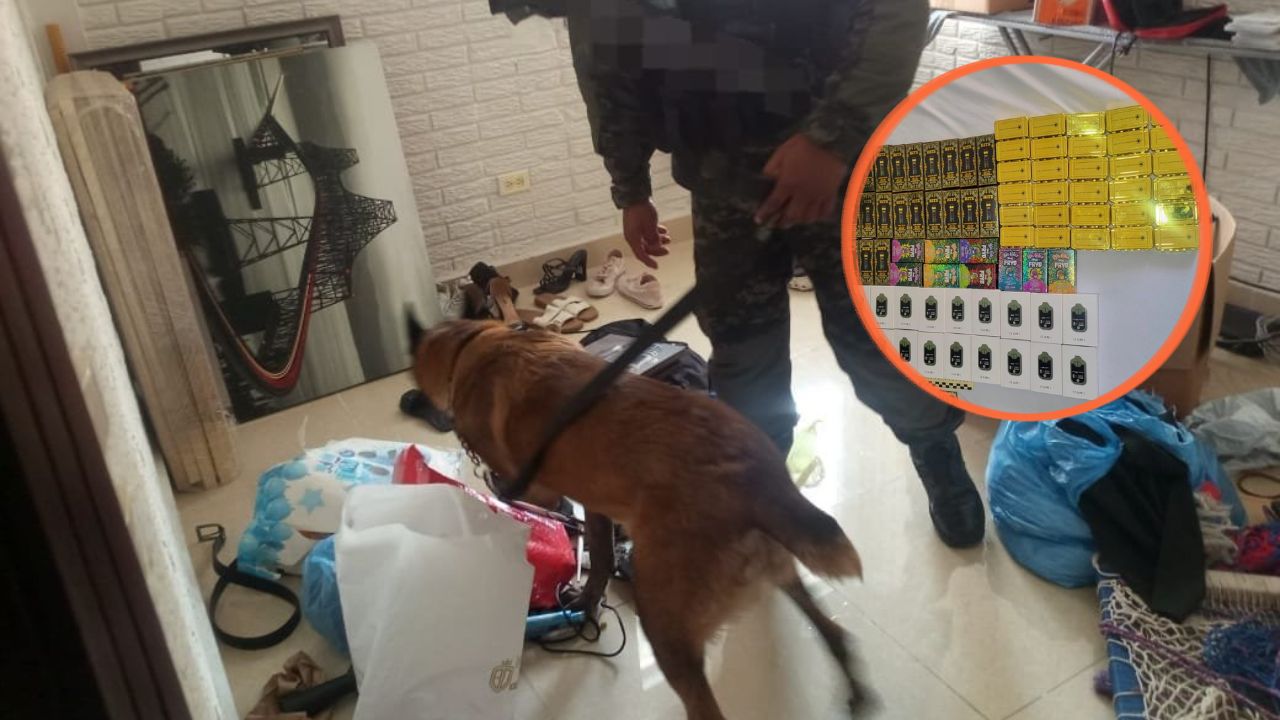 ¿Vapes con marihuana?: esto localizó un canino durante inspección en SPS Imagen principal de ¿Vapes con marihuana?: esto localizó un canino durante inspección en SPS