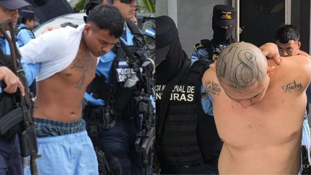 Imagen de cuerpo de nota