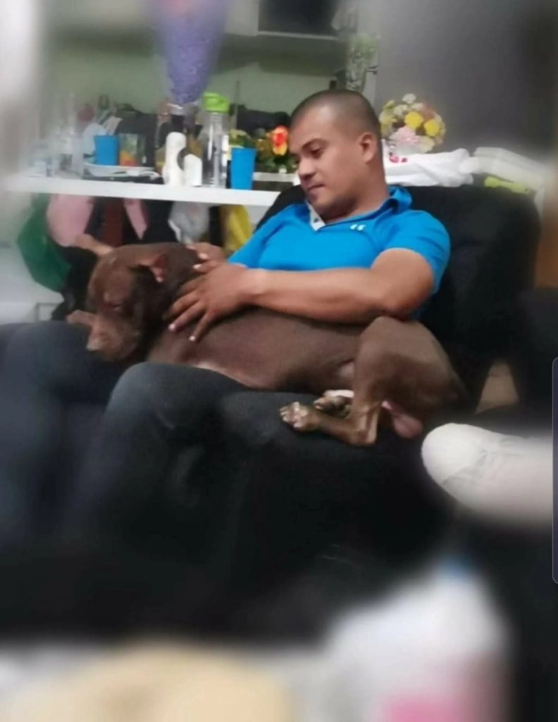 Imagen de cuerpo de nota