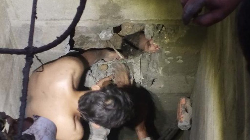 Imagen de cuerpo de nota