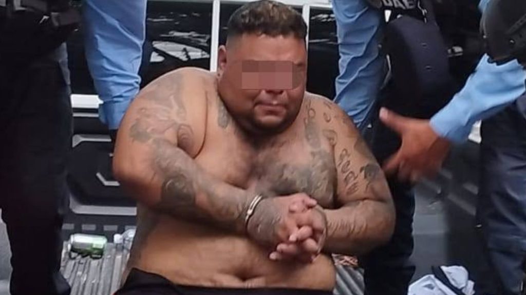 Imagen de cuerpo de nota