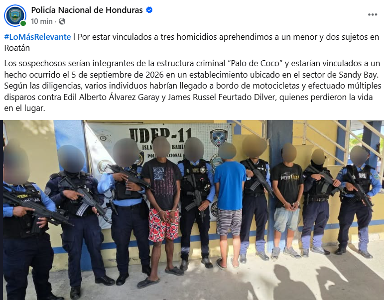 Captura de pantalla de la publicación