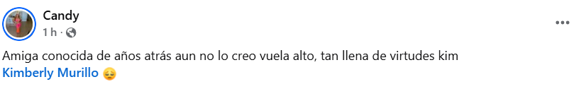Captura de pantalla del comentariio