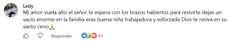 Captura de pantalla del comentario