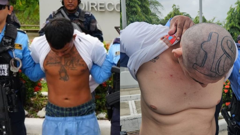 Imagen de cuerpo de nota