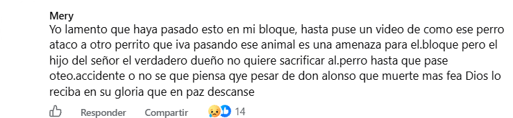 Captura de pantalla del comentario
