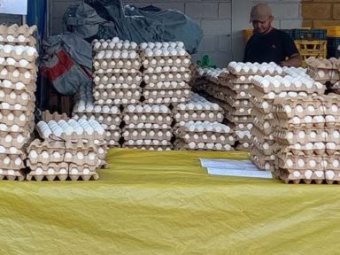 Imagen de Cartón de huevos pega fuerte al bolsillo con aumento del 40% en tres meses