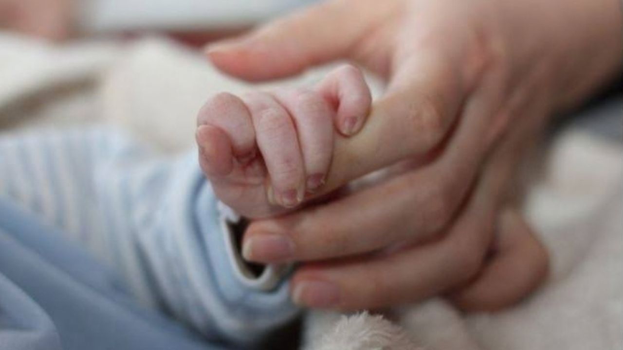 Bebé muere por mucormicosis en Honduras: esto se sabe Imagen principal de Bebé muere por mucormicosis en Honduras: esto se sabe