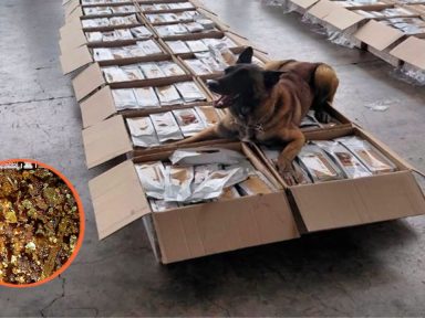 Imagen de Un can detectó 1,077 kilos de cocaína iban mezclados con café tostado molido