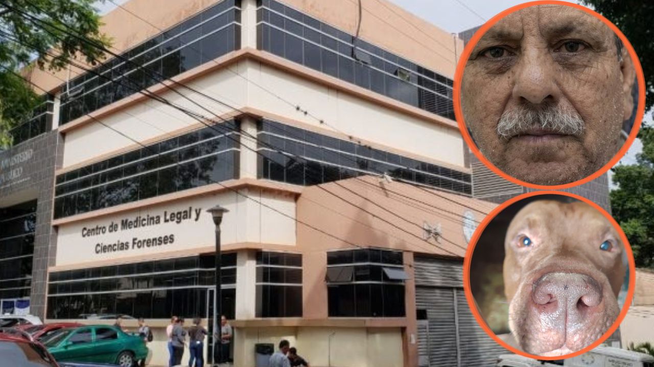 Bajo investigación muerte de adulto mayor por presunto ataque de pitbull Imagen principal de Bajo investigación muerte de adulto mayor por presunto ataque de pitbull