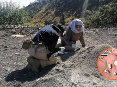 Imagen de Madres buscadoras hallan miles de dientes de leche en fosa clandestina en Michoacán