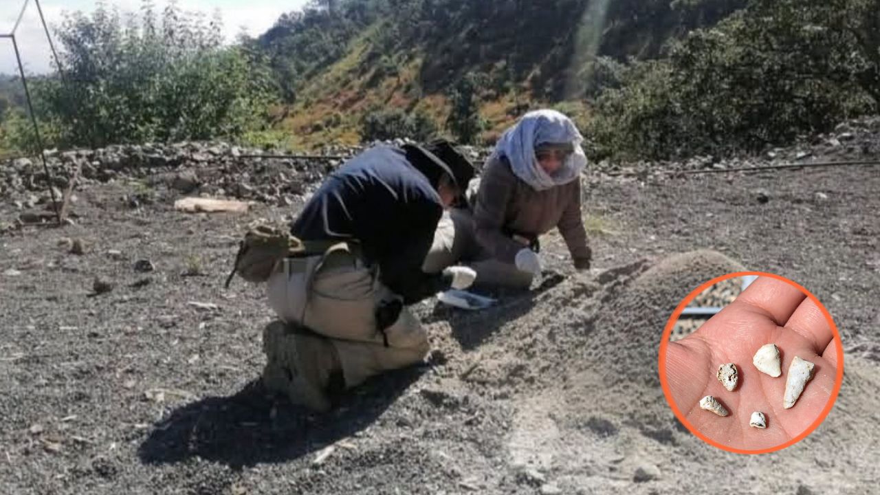 Madres buscadoras hallan miles de dientes de leche en fosa clandestina en Michoacán Imagen principal de Madres buscadoras hallan miles de dientes de leche en fosa clandestina en Michoacán