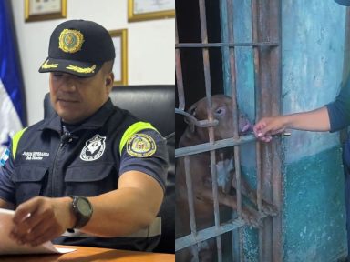 Imagen de Caso Zeus toca al subdirector de la Policía Municipal: esta es la razón