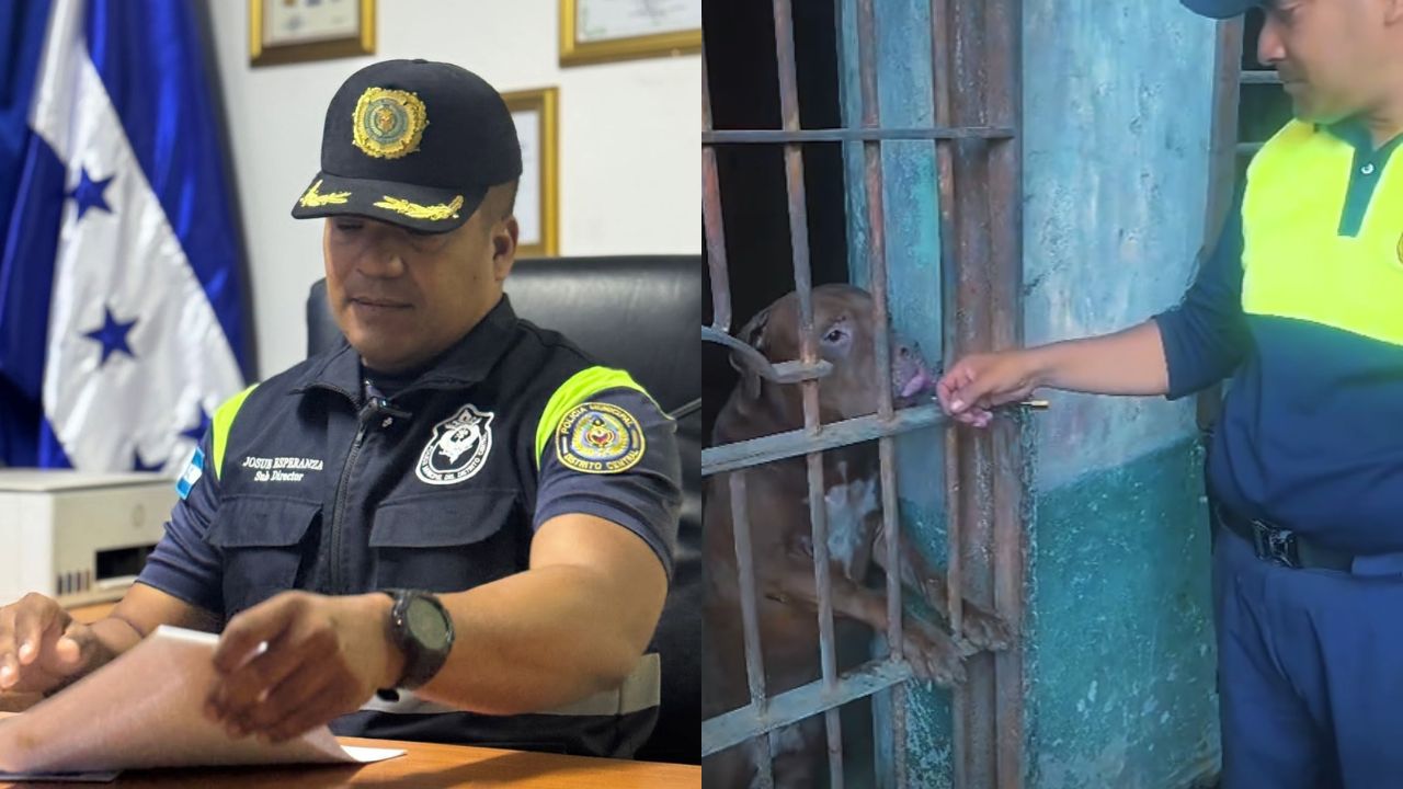 Caso Zeus toca al subdirector de la Policía Municipal: esta es la razón Imagen principal de Caso Zeus toca al subdirector de la Policía Municipal: esta es la razón