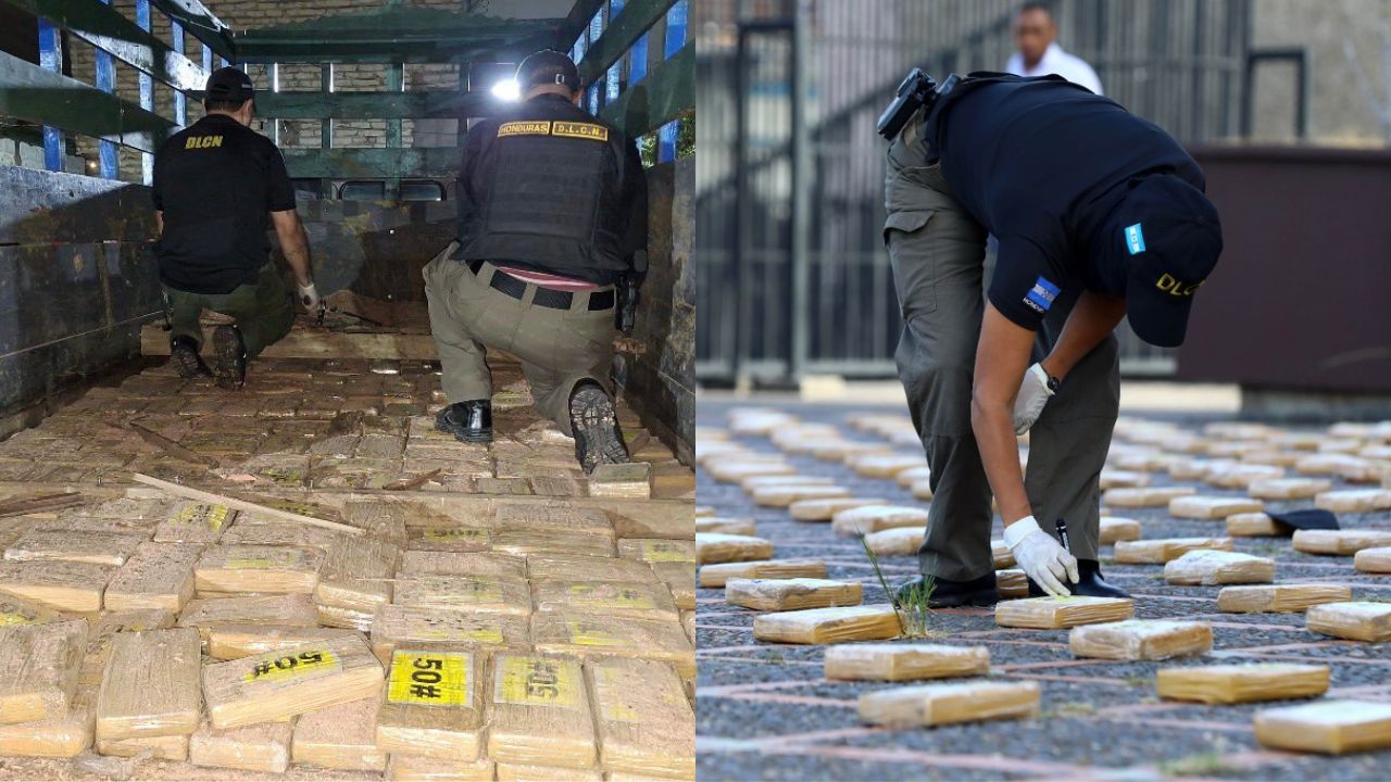 Decomiso en oriente da giro: lo que parecía kilos de 'coca' resultó ser insumo para parásitos Imagen principal de Decomiso en oriente da giro: lo que parecía kilos de 'coca' resultó ser insumo para parásitos
