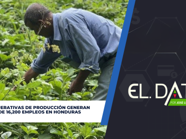 Imagen de Cooperativas de producción generan más de 16,200 empleos en Honduras