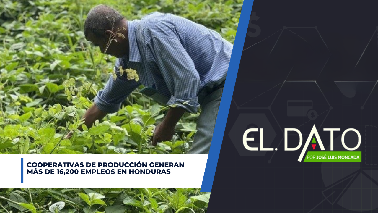 Cooperativas de producción generan más de 16,200 empleos en Honduras Imagen principal de Cooperativas de producción generan más de 16,200 empleos en Honduras
