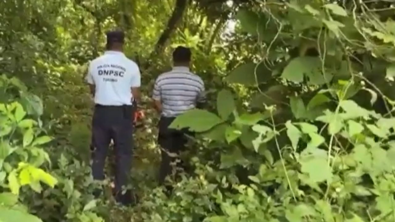“Encontró la muerte”: identifican a mujer hallada entre matorrales en Yojoa Imagen principal de “Encontró la muerte”: identifican a mujer hallada entre matorrales en Yojoa
