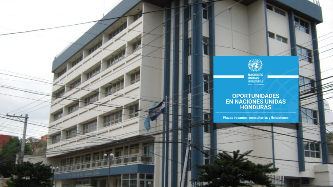 ONU da a conocer nuevas plazas de trabajo: requisitos, beneficios y pasos para aplicar Imagen principal de ONU da a conocer nuevas plazas de trabajo: requisitos, beneficios y pasos para aplicar