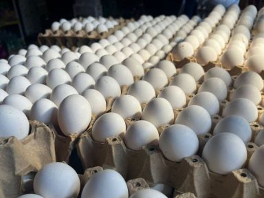 Imagen de Productores de huevos aseguran que vender el cartón a L104 es insostenible