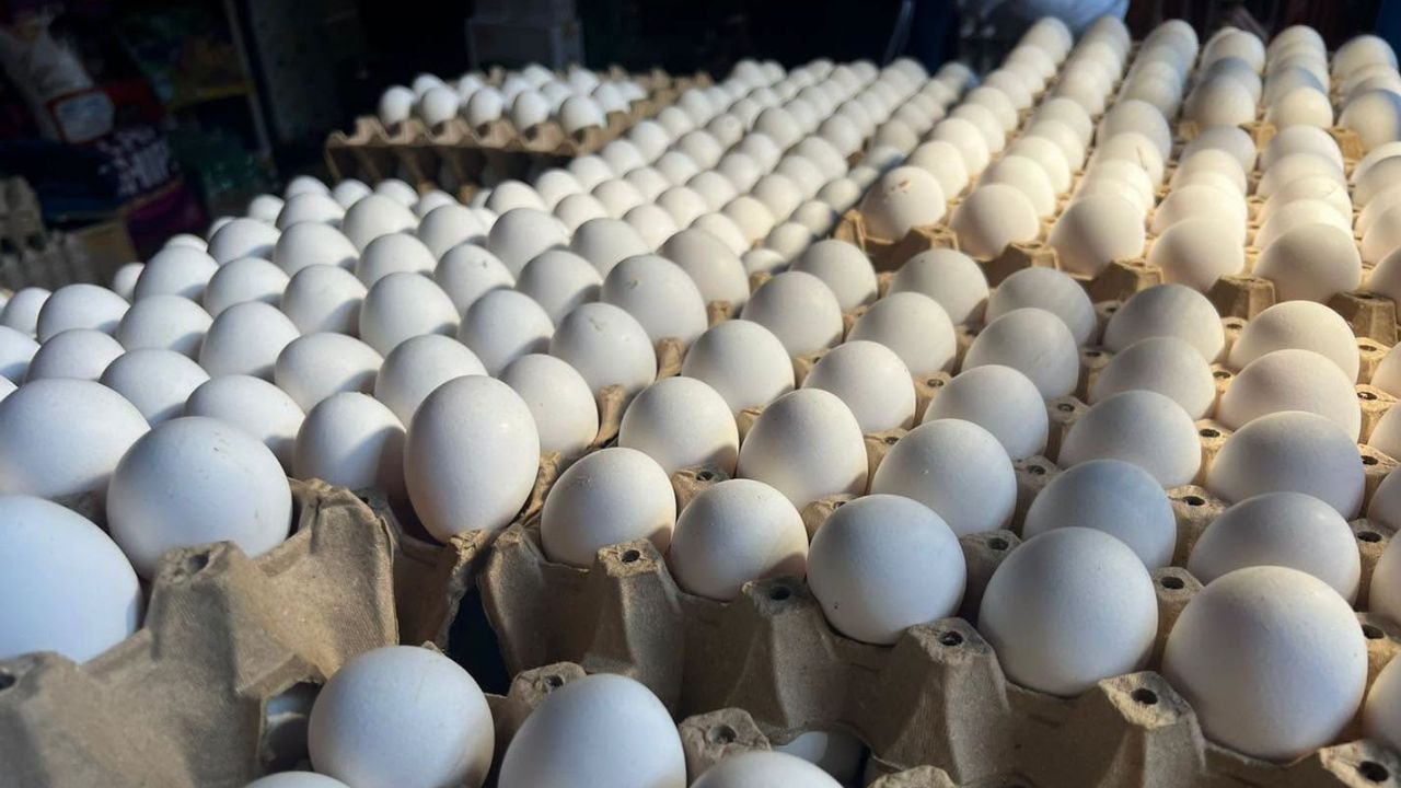 Productores de huevos aseguran que vender el cartón a L104 es insostenible Imagen principal de Productores de huevos aseguran que vender el cartón a L104 es insostenible
