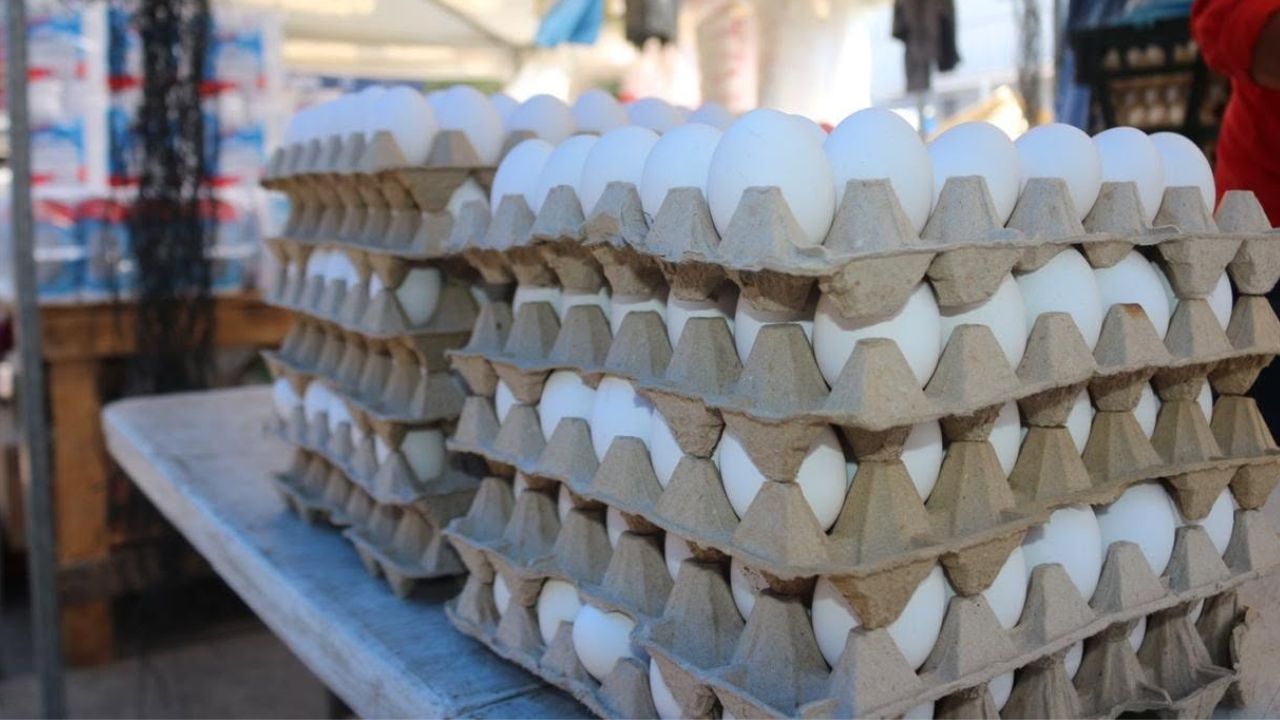 Nuevo precio del cartón de huevos en Banasupro y Zonal Belén: ¿desde cuándo aplicará? Imagen principal de Nuevo precio del cartón de huevos en Banasupro y Zonal Belén: ¿desde cuándo aplicará?