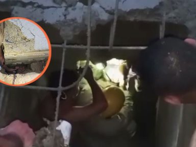 Imagen de Bomberos rescatan a niña de 2 años atrapada durante horas en una fosa séptica