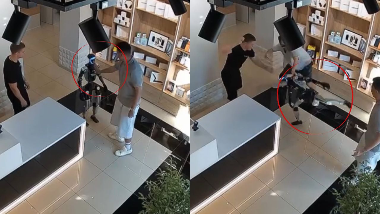 Vídeo | Rechazó el saludo y reaccionó: robot 'se vengó' de un hombre que lo empujó Imagen principal de Vídeo | Rechazó el saludo y reaccionó: robot 'se vengó' de un hombre que lo empujó