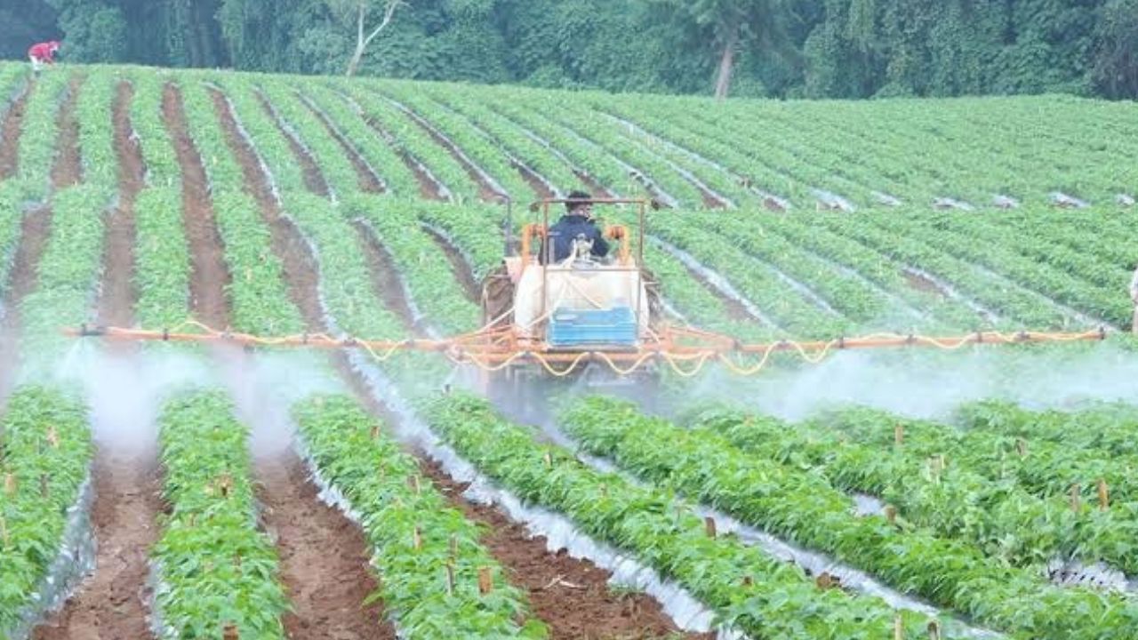 ¿Quieres trabajar fuera de Honduras? Así puedes aplicar a empleo temporal en el extranjero Imagen principal de ¿Quieres trabajar fuera de Honduras? Así puedes aplicar a empleo temporal en el extranjero