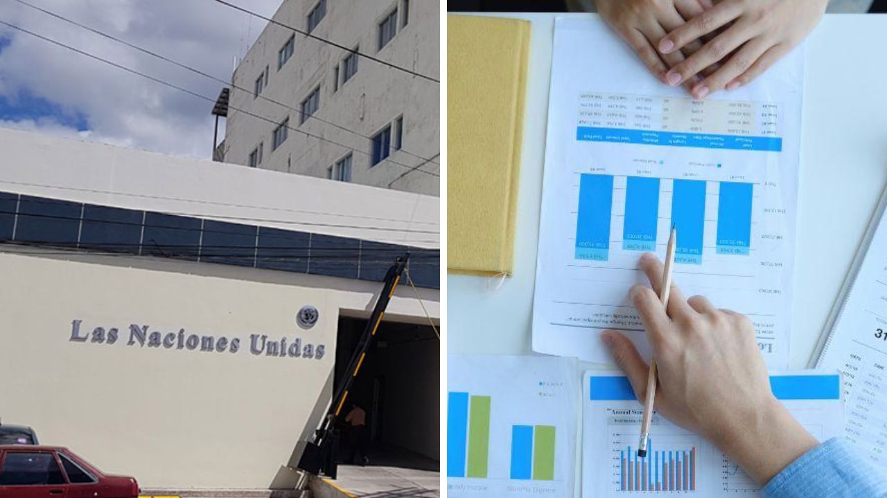 ONU ofrece vacante para economistas hondureños: conozca los requisitos Imagen principal de ONU ofrece vacante para economistas hondureños: conozca los requisitos