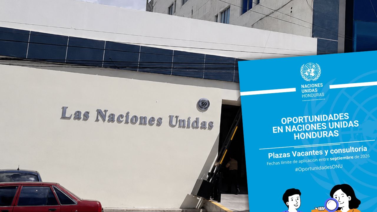 ONU ofrece estas nuevas plazas para hondureños: conozca las vacantes y requisitos Imagen principal de ONU ofrece estas nuevas plazas para hondureños: conozca las vacantes y requisitos