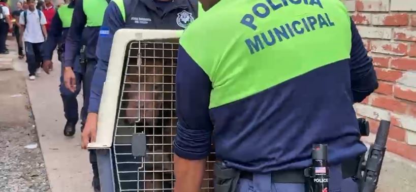 Imagen de cuerpo de nota