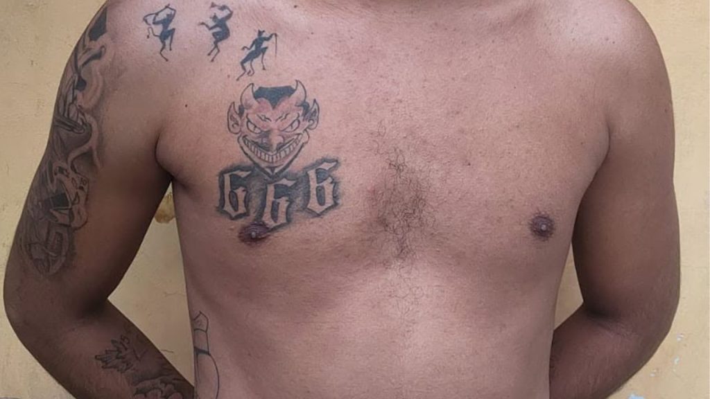 Imagen de cuerpo de nota