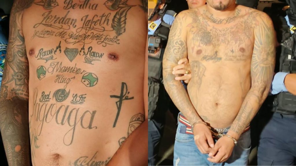 Imagen de cuerpo de nota