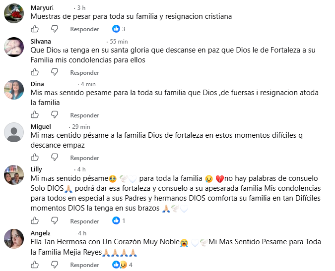 Captura de pantalla de los comentarios