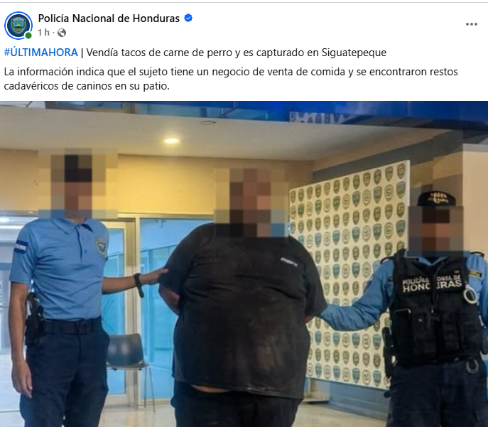 Captura de pantalla de la publicación