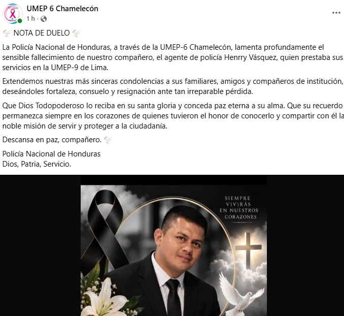 Captura de pantalla de la publicación