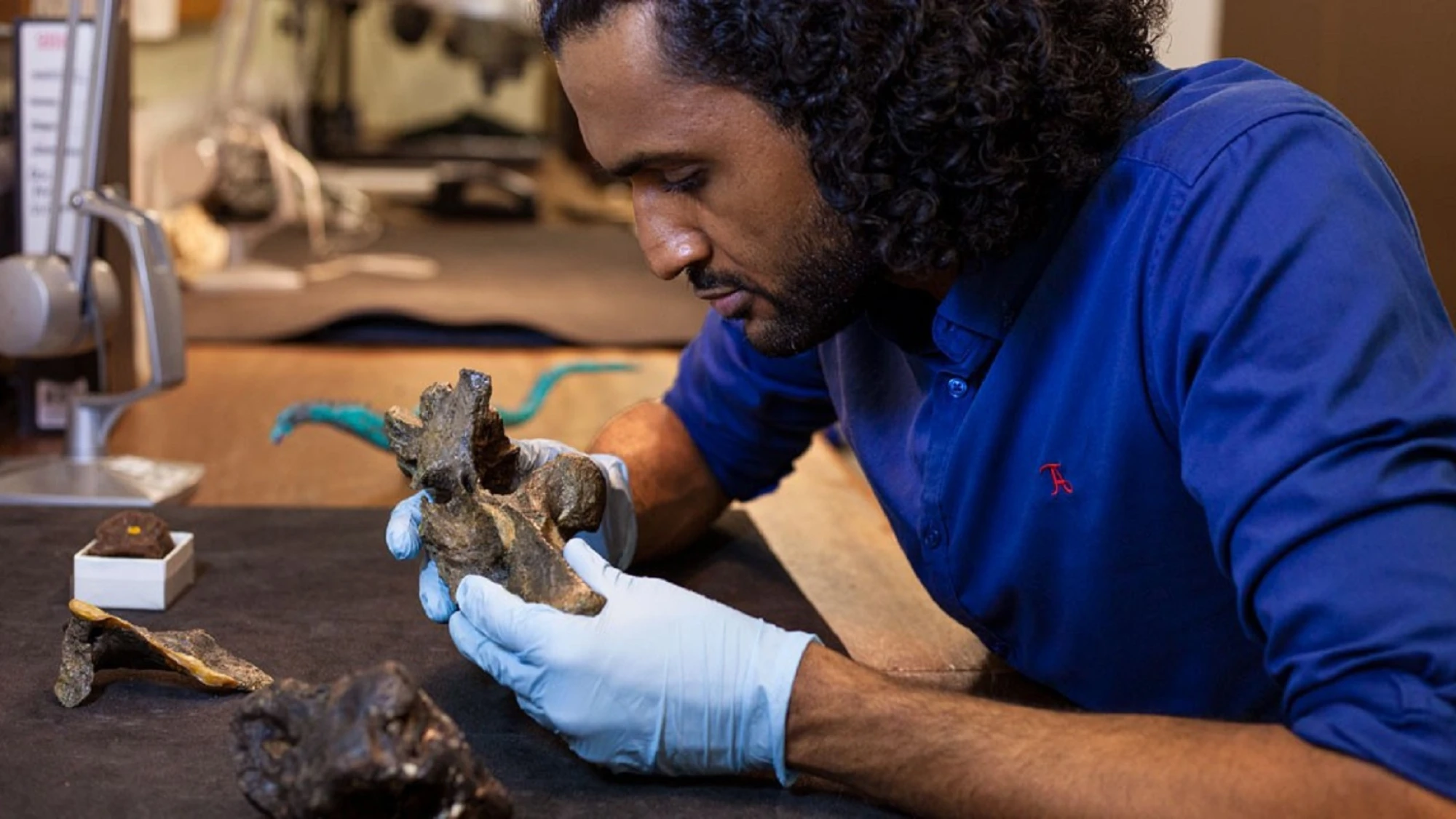 Científico sosteniendo el fósil por el cual se descubrió la nueva especie de un dinosaurio en 2026