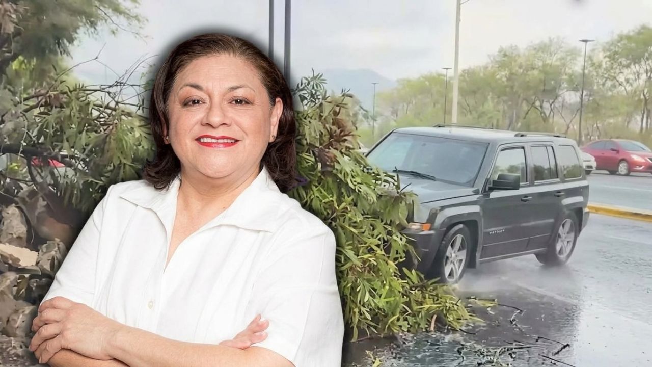 'Atropellaron a nuestra reportera': carro arrolló a periodista en transmisión en vivo Imagen principal de 'Atropellaron a nuestra reportera': carro arrolló a periodista en transmisión en vivo
