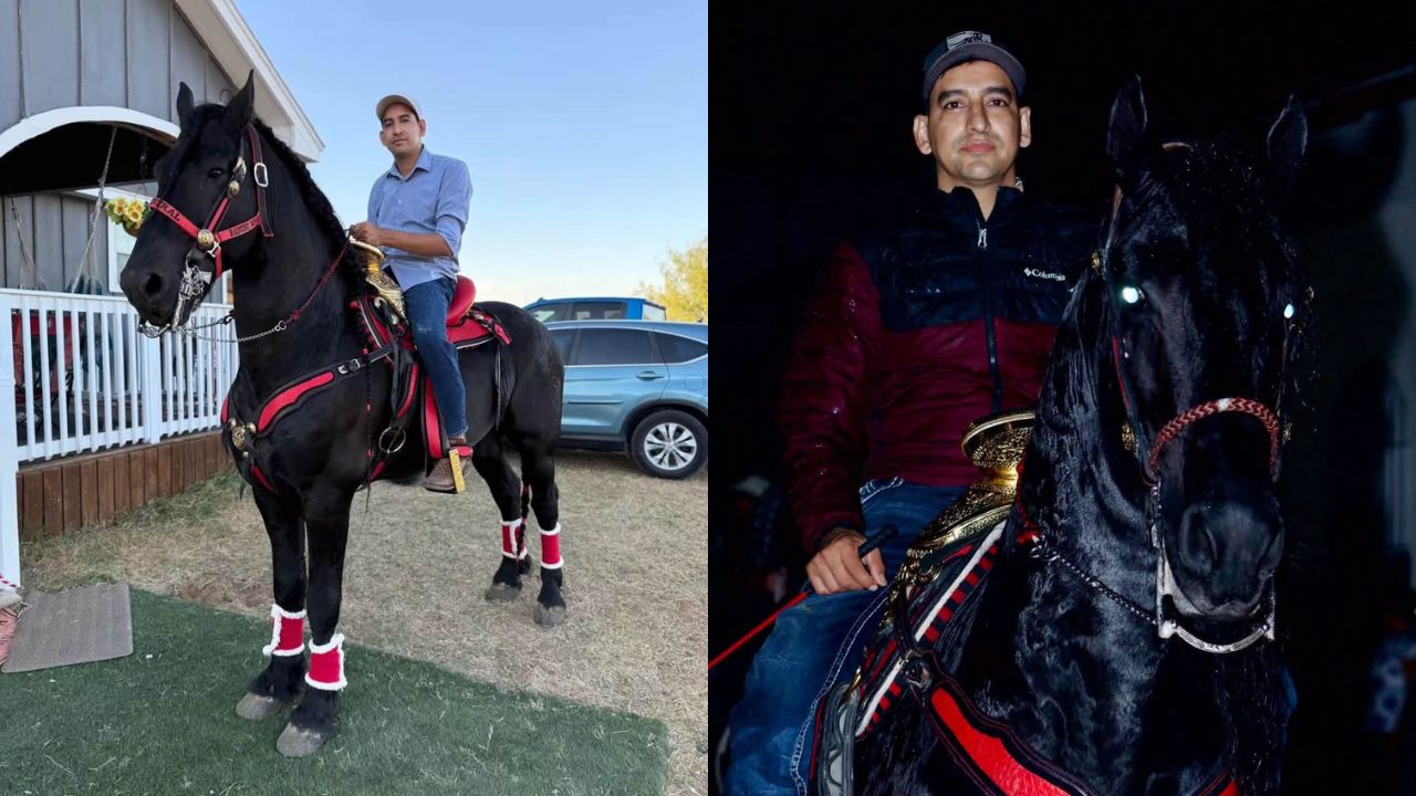 “Vuela alto, General”: tiktoker hondureño llora la pérdida de su fiel compañero Imagen principal de “Vuela alto, General”: tiktoker hondureño llora la pérdida de su fiel compañero