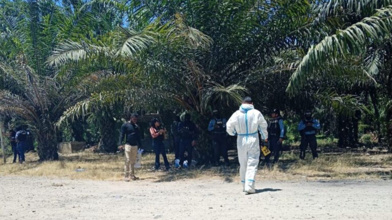 Honduras registra 25 muertes múltiples y 109 víctimas en lo que va de 2026 Imagen principal de Honduras registra 25 muertes múltiples y 109 víctimas en lo que va de 2026