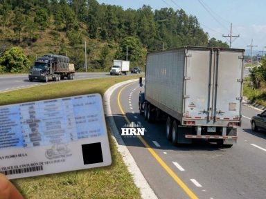 Imagen de ¿Va a sacar licencia de vehículos pesados? Requisitos, precios y edades que exige DNVT
