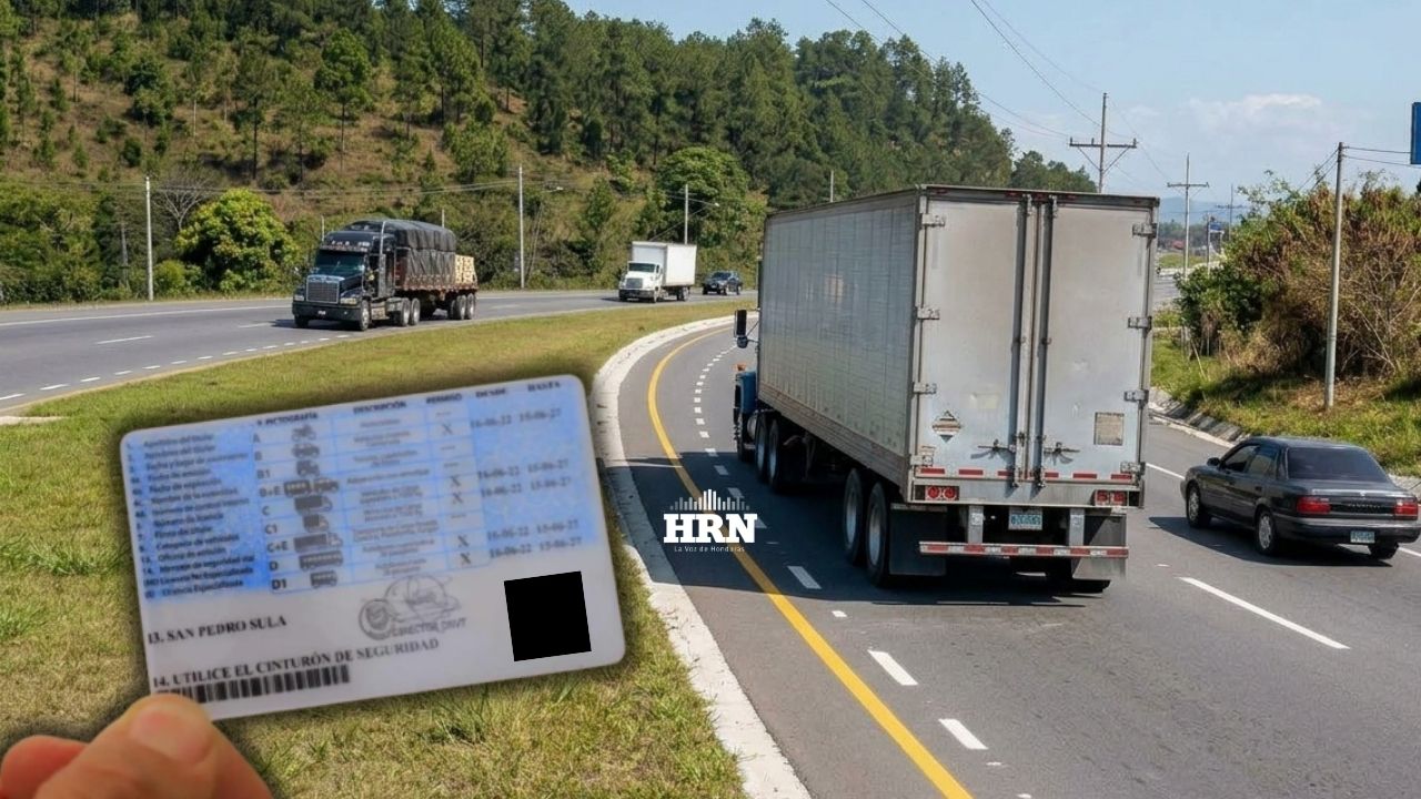 ¿Vas a sacar licencia de vehículos pesados? Requisitos, precios y edades que exige DNVT Imagen principal de ¿Vas a sacar licencia de vehículos pesados? Requisitos, precios y edades que exige DNVT