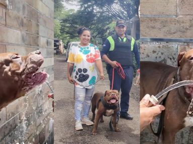 Imagen de '¡Cómo ha mejorado tu vida!': Kathy, la rescatista, conmueve con mensaje dedicado a Zeus