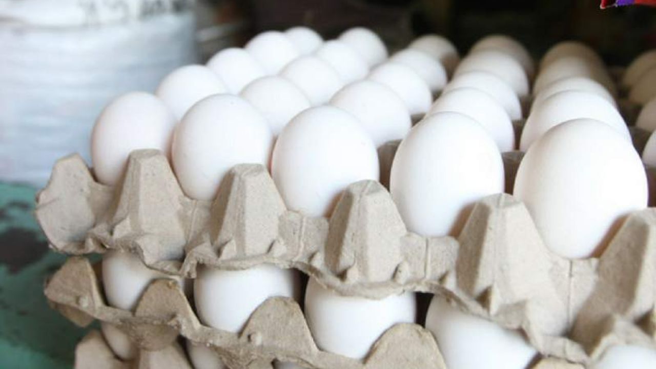 Cartón de huevos amanece más caro este viernes, con aumento de 8 lempiras Imagen principal de Cartón de huevos amanece más caro este viernes, con aumento de 8 lempiras